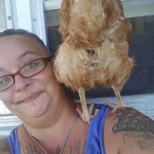 What feed is suitable for a mixed flock of birds including ducks, chickens,  geese, and mandarins?