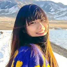 Division of Social Sciences