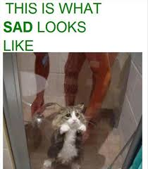 17 Very Funny Shower Pictures And Photos