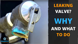 May 17, 2018 · if the pressure relief valve is leaking for no reason, it can prevent the water from heating sufficiently. Leaking Valve How To Know What To Do