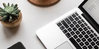 What Are The Top Reasons To Appoint A Professional Pest Control Company?