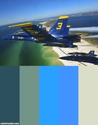 Blue Angels Fly In Delta Formation Color Palette Color Palette Color Schemes Palette