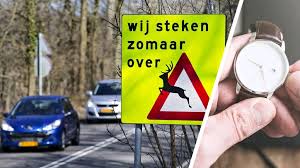 Betrouwbaar, gratis en snel op nu.nl, de grootste nieuwssite van nederland. Q1lonf2doo Jtm