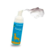 petshop product panosundaki pin