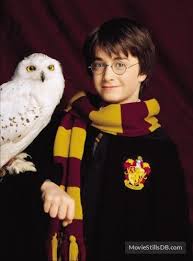 Account Suspended Daniel Radcliffe Harry Potter Harry Potter Pictures Harry Potter Images