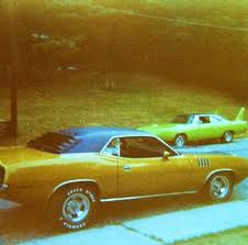 Image result for Bahama Yellow 1969 Barracuda
