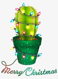 Christmas cactus #christmas #cactus #lights #christmastime #cartoon #illustration #drawing #painting #sketchbook #sketch #doodle #photoshop #digitalart free colouring christmas cards. Merry Christmas Cactus Transfer Cactus With Christmas Lights Transparent Png 1200x1200 Free Download On Nicepng