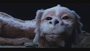 We did not find results for: Chosen One Of The Day Falkor From The Neverending Story