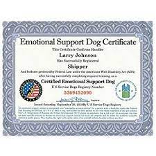 There is no such thing as a certificate or a certification program that officially qualifies a dog as an emotional support animal under law. Emotional Support Dog Certificate Fully Customized With Registration To U S Service Dogs Re Emotional Support Dog Vest Emotional Support Dog Dog Vest Harness