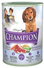 Champion Pet Adli Kullanicinin Champion Panosundaki Pin Kedi Tintin Ve Oya