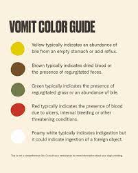 Dog vomit color guide yellow dog vomit, red dog vomit, green dog vomit. Nom Nom Photos Facebook
