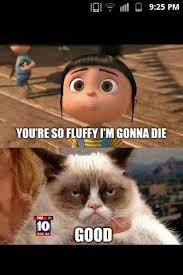 Grumpy Kitty Evil Kitty Knotted Ball Of Fur Angry Kitty Horrid Kitty Grr Grr Grr Funny Grumpy Cat Memes Grumpy Cat Humor Grumpy Cat Quotes