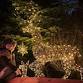 The Plotters’ Forest Enchanted Christmas Trail at event image