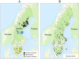 Sweden cities by map count.sort by name. A Nationwide Forest Attribute Map Of Sweden Predicted Using Airborne Laser Scanning Data And Field Data From The National Forest Inventory Sciencedirect