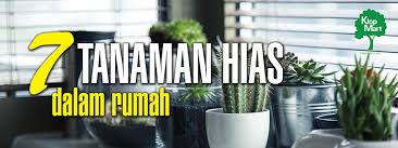Ternyata, tanaman hias dalam ruangan memiliki banyak manfaat tak terduga, lo. Wajib Tahu 7 Tanaman Yang Cocok Di Rumah Anda