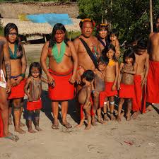 That's why you still find many indigenous amazon rainforest tribes in the region, many of them already being under stress from legal (agriculture and cattle) and illegal activities (drug dealers. Land Grab In Amazon Jungle Threatens Dispossession Violence And Murder Amazon Rainforest The Guardian