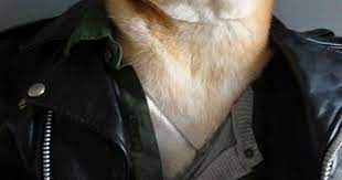 The Modern Greaser Mensweardog Http Mensweardog Tumblr Com