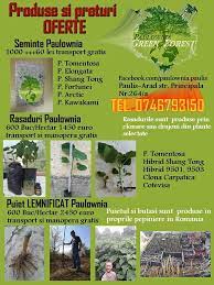 The conversion value for 1 leo to 2.01 eur. Facebook