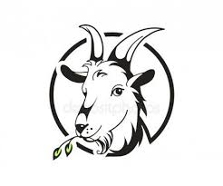 Baby Goat Clipart Black And White Head Of Goat On White Background Stock Vector Affiliate White Goat Head Vector Ad Goat Art Goat Logo Goat Picture