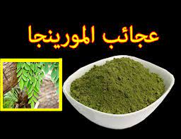فوائد عشبة المورينجا العجيبة في 10 نقاط مختصرة عالم حنان