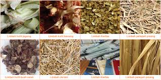 Pengertian Dan Jenis Jenis Limbah Limbah Organik Dan Anorganik Contoh Pengolahan Dan Proses Produksi Bahan Limbah Lunak