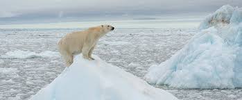 Jul 27, 2021 · nasa's climate kids website brings the exciting science of climate change and sustainability to life, providing clear explanations for the big questions in climate science. Climate Change A Massive Open Online Course Mooc
