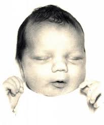 Steve Brey Obituary & Funeral