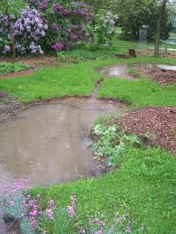 Front Yard Rain Garden And Berm Midwest Permaculture Rain Garden Design Rain Garden Garden