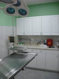 An official website of the city of chicago here's how. Chicago Pet Clinic 11 Photos 112 Reviews Veterinarians 3510 N Cicero Ave Chicago Il Phone Number