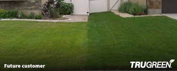 Professional lawn care & landscaping company inspired by healthcare. Affordable Lawn Care Maintenance Treatment Services Trugreen