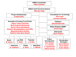 Global Mercury Project Organization Chart