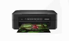 Printer and scanner software download. Download Driver Epson Expression Premium Xp 255 Epson Drivers