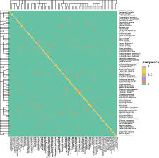 Image result for Antrocaryon nannanii