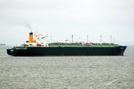 Image result for Galeomma