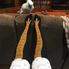 Chicken Leg Socks Are A Thing And They Look Hilarious 19 Pics Bored Panda Explore and share the best chicken legs gifs and most popular animated gifs here on giphy. chicken leg socks are a thing and they