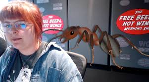 Joe was born in chicago, il and raised on the talk radio and comedy that the city cultivates. We Find Out Something Shocking About Rachel Free Beer And Hot Wings