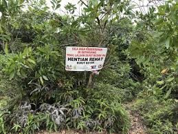 All things to do in kuala terengganu. Wikiloc Bukit Besar Hiking Trail Trail