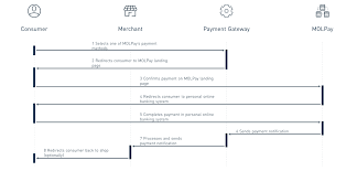 Please ensure that you keyed in the correct url: Molpay