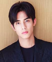 The series achieved 1 billion views throughout its run. Song Wei Long Dramawiki