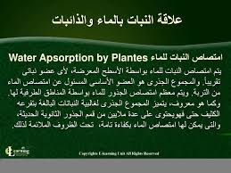 فسيولوجيا نبات أ د محمد نصرالدين هلالي أ د محمود محمد درويش أ Ppt Download