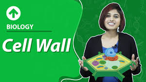 In this #short video, we will study completely about cell theory.#cell#. What Is Cell Theory