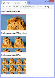 Css Background Size Property Javatpoint