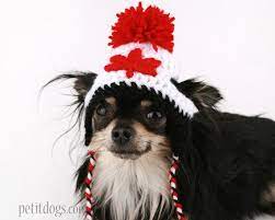 Pin On Animals