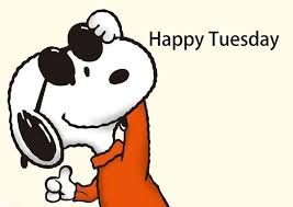 38 good morning wishes for girl; 35 Awesome Happy Tuesday Pictures