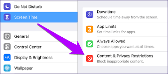Disable Restrict Delete Apps Ios 12 6 Ipad Ios App Ios Apps