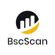 What Is Bsc Scan A Guide