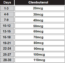 Clenbuterol Ultimate Guide For Men Women Inside Bodybuilding
