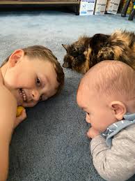 Firefighters deliver new elf to replace lost one