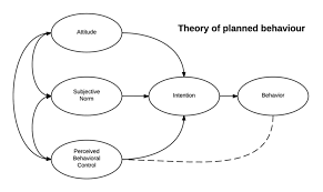 Theory Of Planned Behavior Definition Explained Examples Theories Behavior Health Belief Model