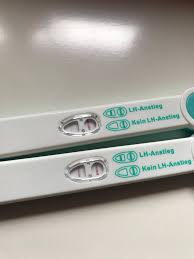 Allerdings zeigen die meisten tests nur ein bis zwei fruchtbare tage an. Facelle Ovulationstest Geht Da Noch Was Kinderwunsch